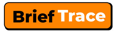 BriefTrace